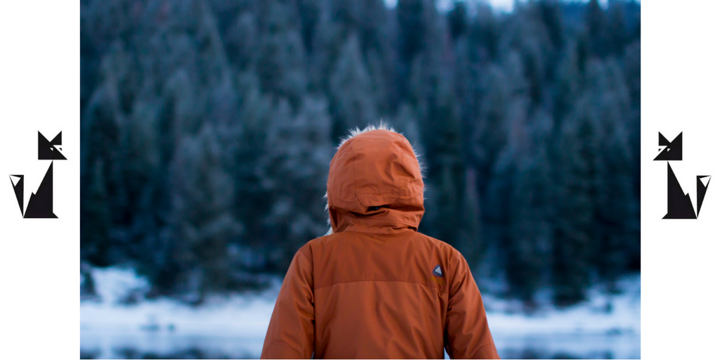 DER VOLPE darum der fuchs