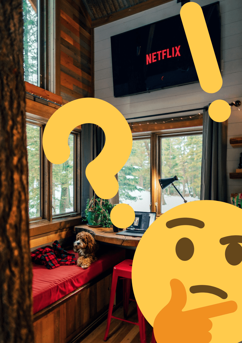 Der Volpe_Komfortzone verlassen