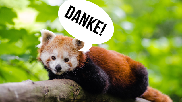 DER VOLPE_Dankbarkeit